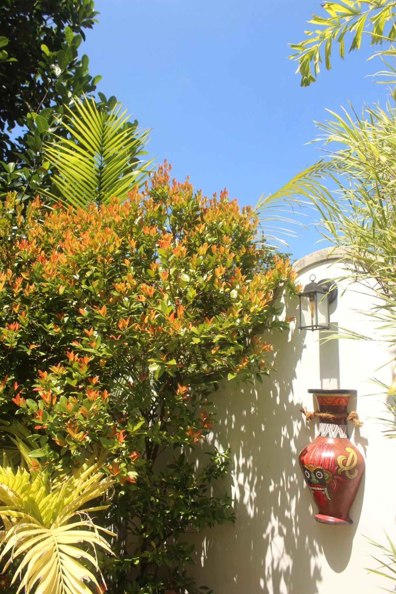 Villa Olde Ceylon Kandy Exterior photo